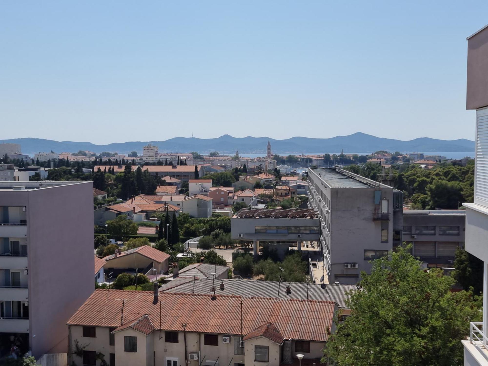 Rosa Zadar